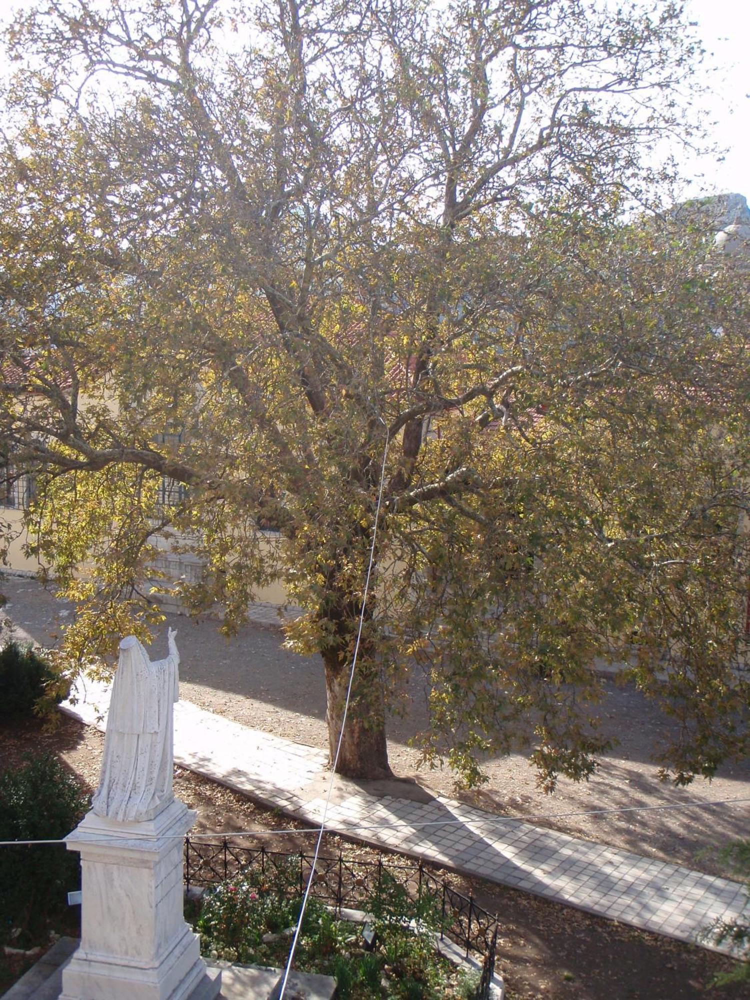 Guesthouse Kazakou Димицана Екстериор снимка
